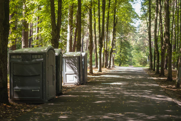 Portable Toilet Options We Offer in Cajahs Mountain, NC